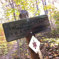 Sheltowee Trace &amp; Lakeview - 13